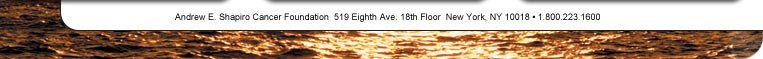 519 Eighth Ave. New York, NY 10018